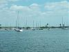 Bella goes to Island Fest today In Tampa-islandfestboat.jpg