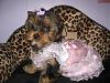 OMG!!!  I seriously don't think I've ever seen anything sweeter!!! Awwwww!!!!!!!!!!!!-mckenzie-her-pink-baby-dress-016.jpg