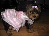 OMG!!!  I seriously don't think I've ever seen anything sweeter!!! Awwwww!!!!!!!!!!!!-mckenzie-her-pink-baby-dress-011.jpg