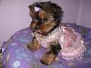 OMG!!!  I seriously don't think I've ever seen anything sweeter!!! Awwwww!!!!!!!!!!!!-mckenzie-her-pink-baby-dress-014.jpg