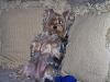 My Yorkie Pictures-beg1.jpg