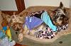 Kacy is finally home!!!!-dsc01078.jpg