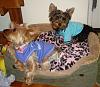Kacy is finally home!!!!-dsc01087.jpg