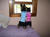Need to share some new pics of Koda & Kammie!-furkids-018.jpg