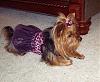 Layla Came to Visit Today!-playdate-layla-6-.jpg