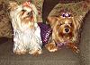 Layla Came to Visit Today!-playdate-layla-12-.jpg