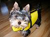 Ready for Summer!!-lifejacket.jpg