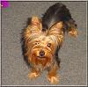 My little boy is growing up!!-buster-003.jpg