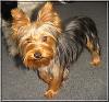 My little boy is growing up!!-buster-004.jpg