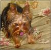 My little boy is growing up!!-buster-007.jpg