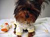 Lil Pebbles in Ducky PJs, 20 weeks!!-img_7341yt.jpg