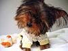 Lil Pebbles in Ducky PJs, 20 weeks!!-img_7343yt.jpg