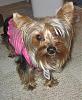 My Maddie Lou-newmaddieandsophie-057-medium-.jpg
