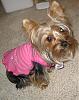 My Maddie Lou-newmaddieandsophie-058-medium-.jpg