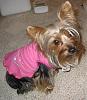 My Maddie Lou-newmaddieandsophie-059-medium-.jpg