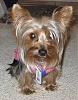 My Maddie Lou-newmaddieandsophie-060-medium-.jpg