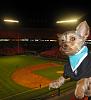 Bark at the Ball Park!!!-dino-047.jpg