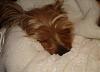My Sleepy Babies-dsc01359.jpg