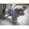 Wookie in his Jean Jacket!-wookiejacket2.jpg