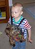 modeling puppy carrier-caesar-coby3.jpg