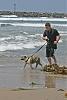 Our trip to the Dog Beach in San Diego-bulldog6.jpg