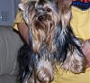 My little boy Teddy is so grown up now!-100_2838.jpg