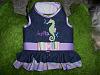 Bella's Birthday Vest from GoFetch-bellas-gofetch-birthday-vest.jpg