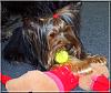 New pics of my Scampy...-scampers-000018.jpg