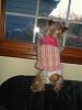 Have any of you ever seen a golden yorkie?-m112106-2.jpg