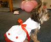 Gracie was READY TO PARTY!!!!-karens-baby-shower-009.jpg