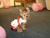 Gracie was READY TO PARTY!!!!-karens-baby-shower-008.jpg