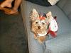 Gracie was READY TO PARTY!!!!-karens-baby-shower-011.jpg