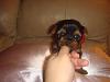Please Welcome Princess Katy !!-dsc05783.jpg