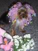 Brownie's Mom!!!!!!!!!!!-bride-her-flowers-ring-bearer.jpg