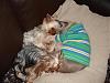 Pics of Oscar and Ruthie-dsc01024.jpg