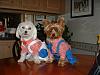 Raggedy Ann and Andy outfits made by Sonja-smaller-babies.jpg