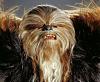 What celebrity does your yorkie look like ???-chewbacca.jpg