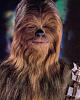 What celebrity does your yorkie look like ???-chewie.jpg