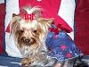 Layla Dress for Memorial Day.......-100_1266.jpg