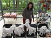 my sister and 8 of 10 of her maltese-tam-dogs.jpg