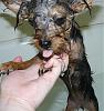 Bath Time!!! :)-bath-time-006.jpg