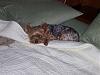 ready for bed-100_0786.jpg