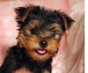 Here are some very cute faces for you to enjoy!-baby-yt-16-.jpg