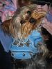 Can I see some boys dressed up??!-4.jpg