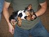 These pictures are TOO funny. (funny slepeing positions)-abbey-passed-out-lap.jpg