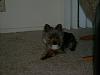 He got caught!-dsc01592.jpg