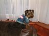 Tinks new clothes (so far!)-tink-jacket-small.jpg