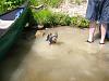 First canoe trip!-swimming-river.jpg