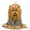 Guess what?  I just got another yorkie-4289_1.jpg