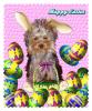 Sheila has a new friend! kind of...-easter-sweetie3sn-05.jpg